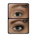 Buy Make-up Studio Mascara | False Lash Effect 4D Extra Black - International Shipping Available - Buy Online on GoSupps.com