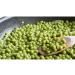 La Fiammante Cooked Italian Green Peas 400g - Buy Online on GoSupps.com