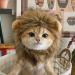 Lion Mane Wig for Cat - Pet Fancy Dress up Cat Wig with Ears Lion Mane Costume for Cat Washable Comfy Lion Hair Cat Clothes for Cosplay Holiday Photo Shoots Party Activity (Yellow L) L Yellow - Buy Online on GoSupps.com