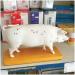 Acupuncture Pig Model Veterinary Acupuncture Animal Anatomy Model Medical Training Aid - Buy Online on GoSupps.com