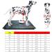 Adjustable Dog Wheelchair Two Wheels Pet Rehabilitation Cart for Handicapped Hind Legs Animal Exercise Wheels for Disabled Cat/Dog/Pet Easy Assemble X - Small - Buy Online on GoSupps.com