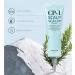 Buy Esthetic House CP-1 Head Spa Tea Tree Salt Scalp Scailer 250ml | International Shipping Available - Buy Online on GoSupps.com