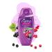 Fiama Di Wills Black Currant Bearberry Radiant Glow Shower Gel | 250ml - Nourishing Skincare for Radiant Skin | Buy Online Internationally - Buy Online on GoSupps.com