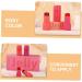 BIUDECO 4pcs Jelly Blush Set Blouses Makeup Blush Makeup Brishes Jelly Blush Stick Blush for Makeup Plastic - Buy Online on GoSupps.com