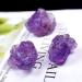 1 Pcs Natural Raw Amethyst Quartz Crystal Rough Stone Specimen Crystal Love Natural Stones and Minerals Fish Tank Full of Texture (Size : 30-40g) - Buy Online on GoSupps.com