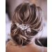 Bridal Wedding Headband - Silver Crystal Flower Hair Vine for Women & Girls - Buy Online on GoSupps.com