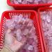 50G Natural Raw Pink Rose Quartz Crystal Rough Stone Specimen Crystal Love Natural Stones and Minerals Fish Tank Stone - Buy Online on GoSupps.com