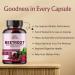 Beetroot Powder Capsules (120 Capsules) -1000 mg | Made with Organic Green Tea & Red Spinach Extract | Beetroot Powder Capsules | GMO Free, Gluten Free, Vegan | 60 Days Supply - Buy Online on GoSupps.com