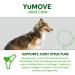 Yumove Senior Dog | High Strength Joint Supplement for Older Stiff Dogs with Glucosamine Chondroitin Green Lipped Mussel | Aged 9+ | 80 Tablets - Buy Online on GoSupps.com