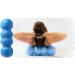 Rollga Flexibility & Muscle Recovery Foam Roller | 18 Medium Density - Royal Blue | Back & Neck Massage, Exercise Tool - Buy Online on GoSupps.com
