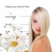 Nirvel Camomile Shampoo - Nourishing Hair Care for All Hair Types | International Shipping - Buy Online on GoSupps.com