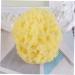 PRETYZOOM 6 Pcs Natural Children s Sponge Shower Supplies Bath Ball Scrubber & Back Sponge Eco-Friendly Bath Tools for Kids - Buy Online on GoSupps.com