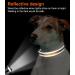 Joytale Reflective Dog Collar for Puppies - XS Brown | Premium Quality Pack of 1 - Buy Online on GoSupps.com
