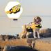 Emust Large Dog Swimming Vest - Ripstop Flotation Suit with Double Rescue Handles - XXL Yellow - Perfect for Pool & Water Adventures - Buy Online on GoSupps.com