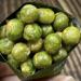 Green peas casual nuts fried beans snack garlic peas 250g green beans crispy peas individual small package - Buy Online on GoSupps.com
