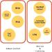 C NEW LAB Heartleaf AC Blemish Clearing Pads - Triple-Double Acid Toner for Acne Prone Skin | Soothes Heals & Clears | 70 Pads 140 ml - Korean Skincare - Buy Online on GoSupps.com
