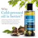 Ustraa Ayurvedic Cold Pressed Oil 200ml | Moringa & Curry Leaves | Anti-Aging Sulphate-Free Paraben-Free - Buy Online on GoSupps.com