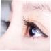 FOMIYES 10 Pairs Lower Eyelashes False Eyelashes Fake Lashes Fake Eyelashes Natural Lashes Bottom Eyelashes Strip Bottom Lashes Natural Eyelashes Transparent Stem Fiber - Buy Online on GoSupps.com