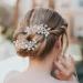 ISLHJDD Rhinestone Hair Side Comb Shining Hair Barrettes Wedding Hair Comb Crystal Hair Accessories Bridal Head Pieces for Women and Girls - Buy Online on GoSupps.com