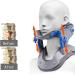Pepdro Neck Brace Collar for Neck Pain Relief | Soft Cervical Support for Comfortable Healing - Buy Online on GoSupps.com