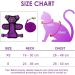 Breakproof Cat Leash Set & Adjustable Soft Vest for Kittens - Reflective Stripes & Purple Dishes (Small) - Buy Online on GoSupps.com