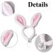 Golden Apple 2 Pcs Christmas Pet Headband Fluffty Bunny Ears Headband Easter Party Puppy Headwear Supplies for Cat Dog (S) - Buy Online on GoSupps.com