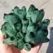 Stone Crafts 600gRare Natural Green Ghost Cluster Crystal Stone Clear Crystal Natural Specter Reiki Quartz Stones Specimen Natural Luster - Buy Online on GoSupps.com