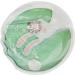 Instantly Reusable Heat Pack | Cute Mini Click Pocket Warmer for Camping Hiking & Pain Relief | Round Rabbit Hand Warmer - Buy Online on GoSupps.com