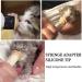 Bzkser 3-Piece Pet Syringe Set | Silicone Pacifier for Feeding Cats Puppies Kittens & Newborn Pets - Ideal for Safe & Easy Feeding - Buy Online on GoSupps.com