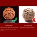 Unbit Ballstretcher & Magnetic Stress Ball - Hand-Carved Baoding Balls for Massage & Hand Exercises (Dragon Phoenix Lion) - Color B - International Shipping - Buy Online on GoSupps.com