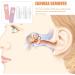 LALAFINA Ear Wax Removal Kit - 2 Sets, Ear Cleansing Tool with Storage Box - Home and Travel Ear Cleaner - Buy Online on GoSupps.com
