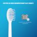 Replacement Brushes for MOCEMTRY Electric Toothbrush | Pack of 4 - White & Gray - Fast International Shipping - Buy Online on GoSupps.com