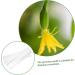Toddmomy Horticulture 9 pcs Gardening Strawberry Ovens Cucumber Plastic Grow Heart Star Alien Modeling Fruit - Buy Online on GoSupps.com
