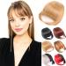 Bangs Synthetic Bangs Hair Clip in Bangs for Women Natural Flat Neat Bangs Hair Clip Extension for Daily Wear Bangs Hair Clip(SW65-106) - Buy Online on GoSupps.com