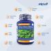 Ginkgo Biloba 6000mg Standardised Leaf Extract 360 Vegan Tablets with Vitamin B3 & B5 | Supports Focus, Mental Performance & Energy | Vegetarian Society Approved | 12 Months Supply - Buy Online on GoSupps.com