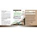 Fairvital | Oyster mushroom extract 500mg VEGAN - Highly dosed - 90 capsules - mushroom extract standardized to polysaccharides 30% - Buy Online on GoSupps.com