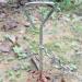 Bahob 30ft (9m) Dog Tie Out Cable and Stake Out for Outdoor Yard and Camping Small to Large Dogs Ground Field Spike Stake (30 ft Cable + Stake) - Buy Online on GoSupps.com