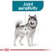 Royal Canin Maxi Joint Care food for dogs prone to joint sensitivity (3kg) - Buy Online on GoSupps.com