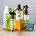 Ecologic Sweet Orange and Tangerine Everyday Cleaner 520 ml - Buy Online on GoSupps.com