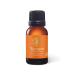 Aromatics International Premium Organic Turmeric Essential Oil 18ml | 100% Pure Essential Oil for Diffusion & Aromatherapy Turmeric 0.6 Fl Oz (Pack of 1)