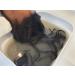 Love Locs Detox Dream Kit | Apple Cider Vinegar Hair Detox for Dreadlocks Locs & Sisterlocks | ACV Shampoo Soak Powder Inflatable Basin & Brush | Natural & Residue Free - Buy Online on GoSupps.com