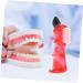 Homsfou 4-in-1 Multifunction Denture Brush Set - Oral Care Toothbrush for Prosthesis Cleaning - Mini Micro Brushes - Household Cleaner - 1 Pack Assorted Colors - Buy Online on GoSupps.com