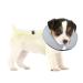 Bencmate inflatable breaking ruff for dogs & cats dog collar leak protection dog for recovery after operations or wounds hubring dog who does not block the view neck: 5 "-8" small gray
