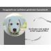 Large Dog Tooth Cleaner & Tartar Remover - Stainless Steel Dental Scaler for Pets - Buy Online on GoSupps.com