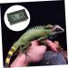 BESPORTBLE 2pcs Reptile Temperature and Humidity Meter Black 4.5X2.5cm - Buy Online on GoSupps.com