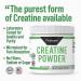 Probase Nutrition Creatine Powder 300 Grams - Buy Online on GoSupps.com