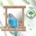 2Pcs Parrot Hanging Swing Mirror Fun Wooden Parrot Mirror Hanging Wooden Bird Mirror Toy Parrot Toy Budgie Mirror for Small Birds - Buy Online on GoSupps.com