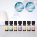 Tisserand Aromatherapy Daily Essentials Kit - Lavender Tea Tree Eucalyptus - 100% Natural Pure Essential Oils - 3x10ml - Buy Online on GoSupps.com