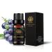 Aromatherapy blueberry oil essential oil for diffuser 10ml 100% pure blueberry oil essential oil for humidifiers home therapeutic grade blueberry essential oil for massage skin and hair care blueberry