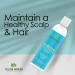 Taliah Waajid Scalp Care Follicle Therapy Shampoo | Natural Treatment for Thinning Hair & Hair Loss | Wild Sea Moss Rosemary & Aloe | 8oz - Buy Online on GoSupps.com